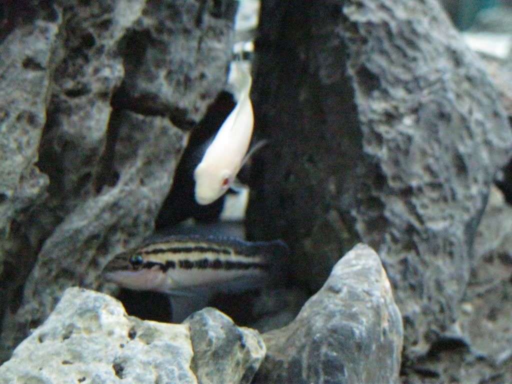 IMG_0249.jpg