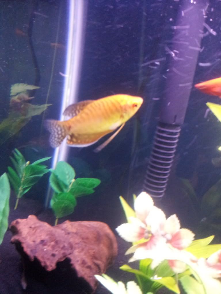 20120120_144308.jpg