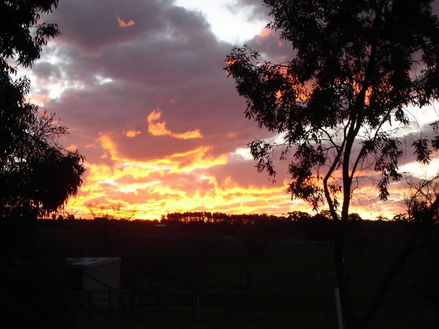 NewSunset11.jpg