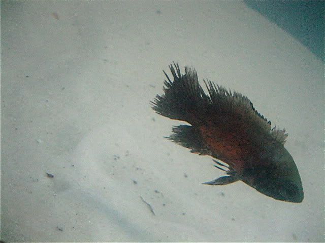 IMG_5655.jpg