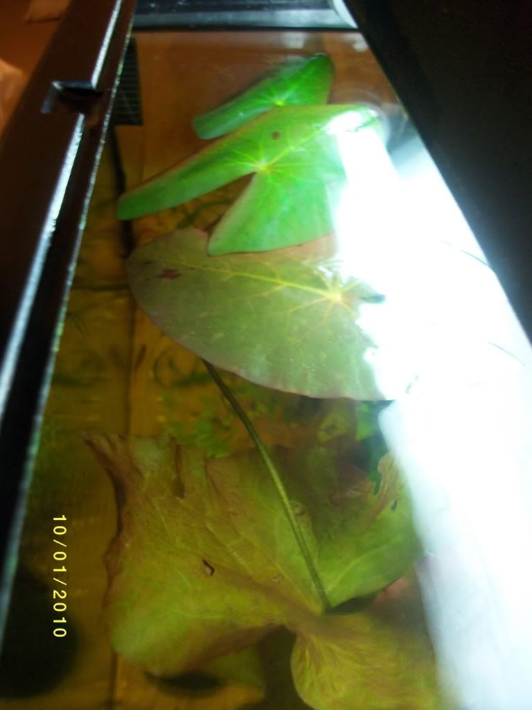 IMGP0322.jpg