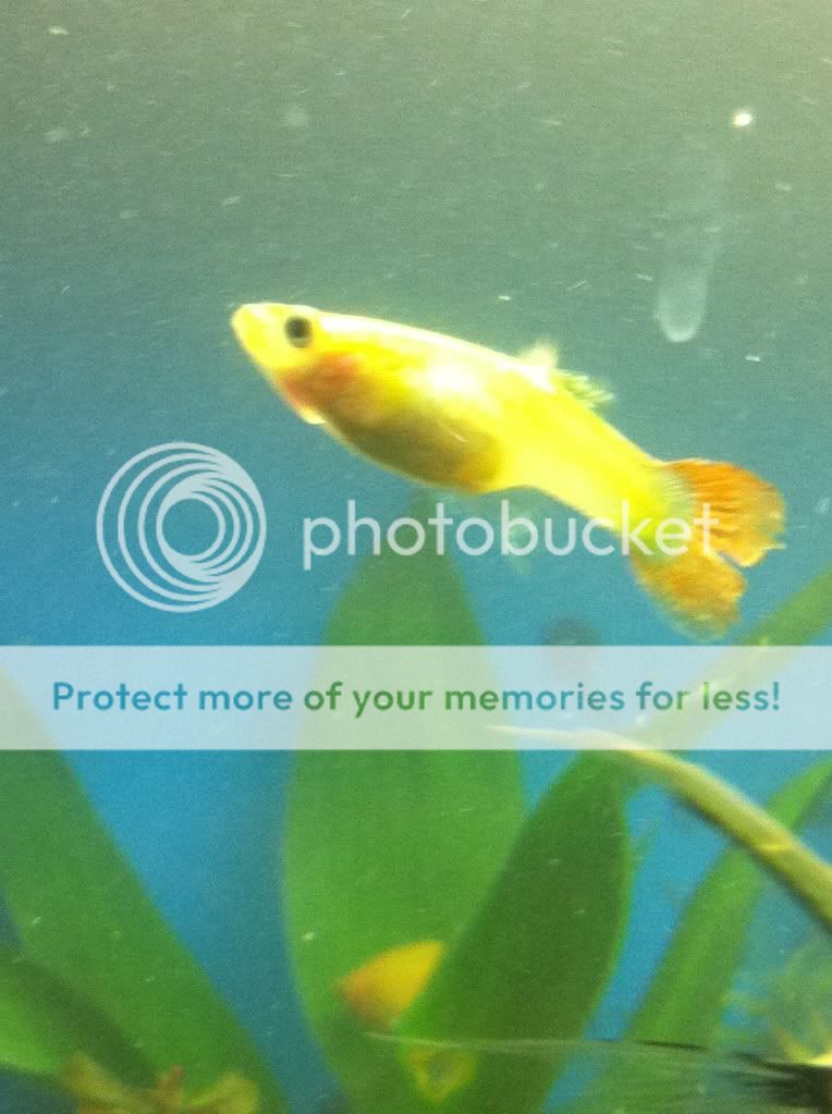 photo4.jpg