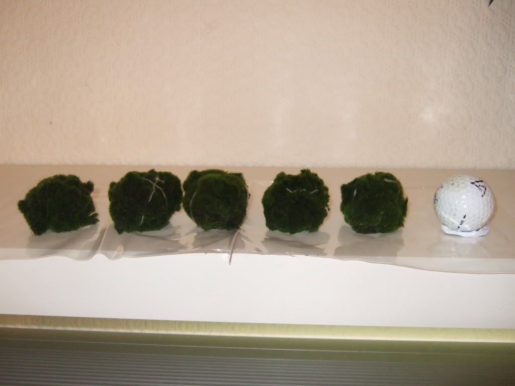 DSCF1612.jpg