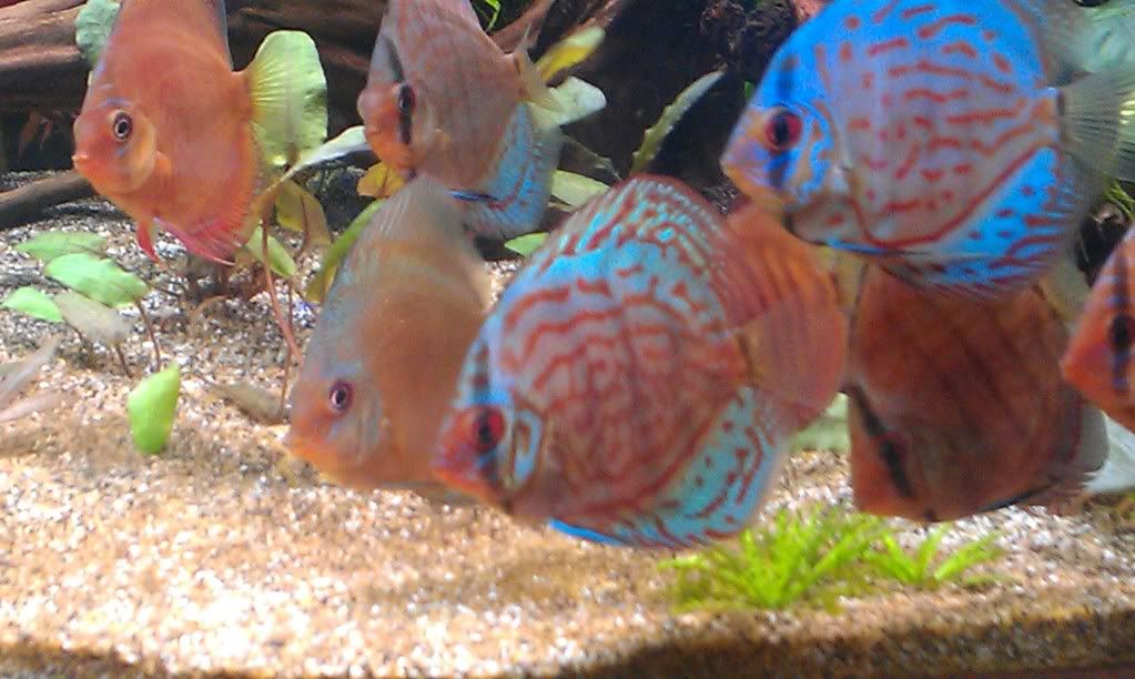IMAG0175.jpg