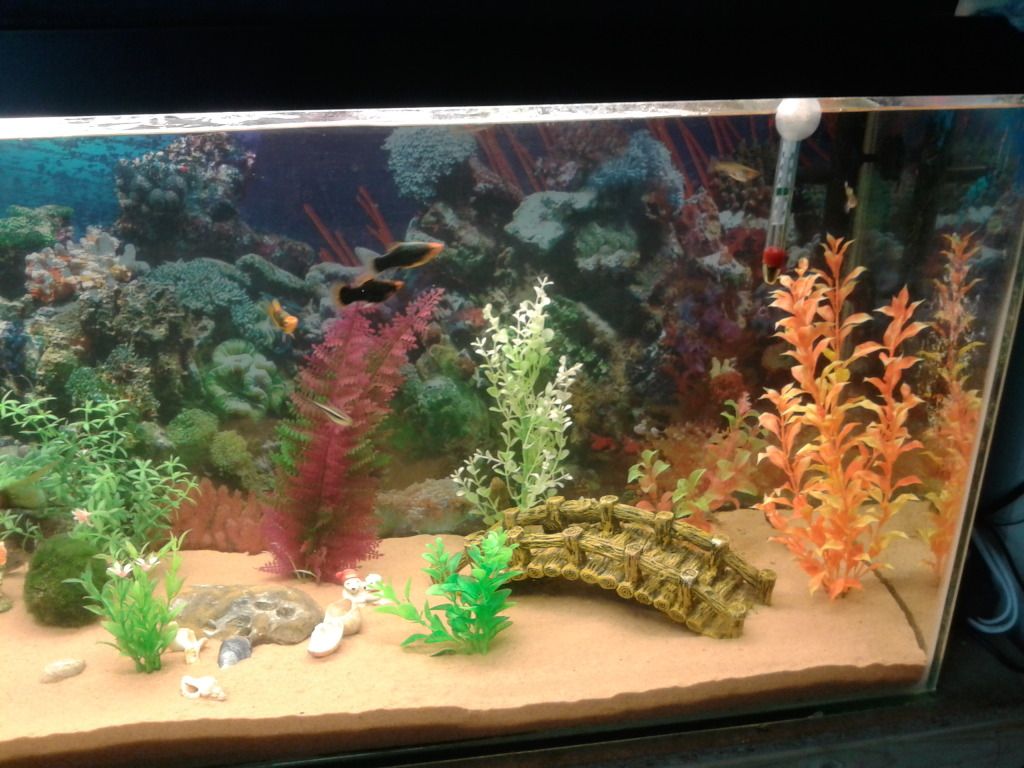 20121015_101057.jpg