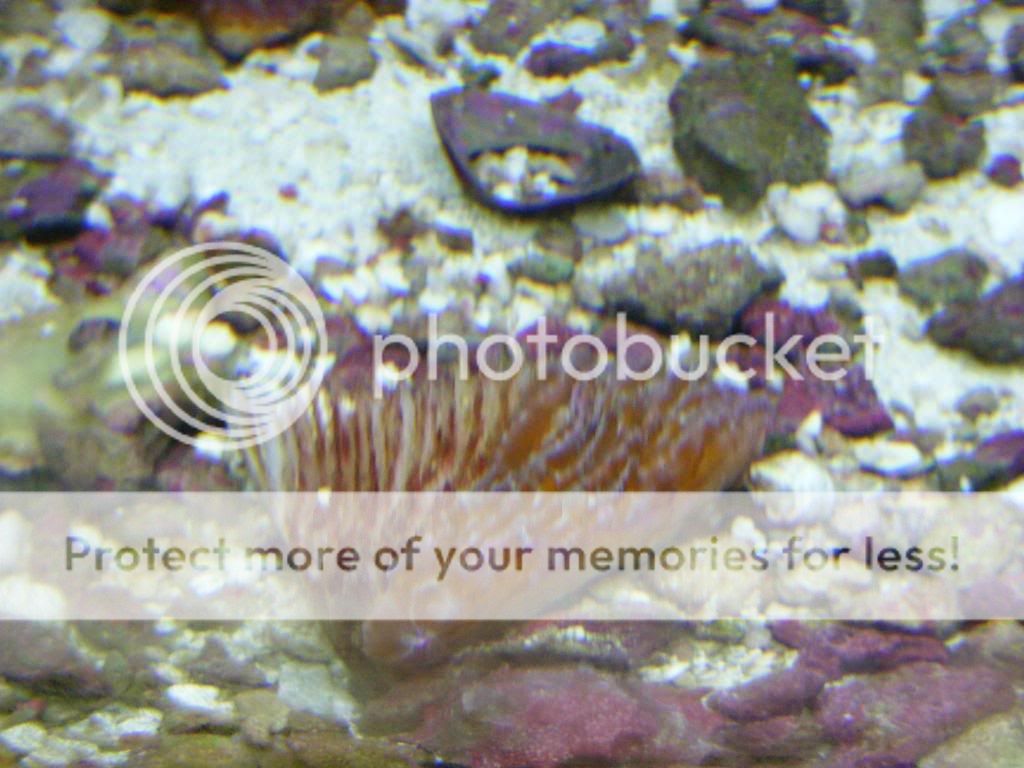DSCF2853.jpg