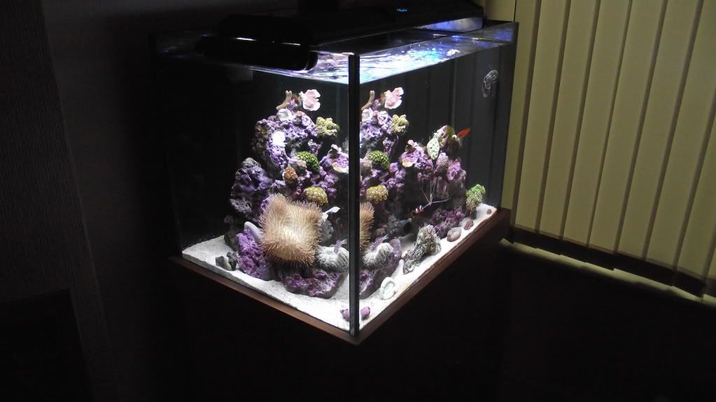DSCF2100.jpg