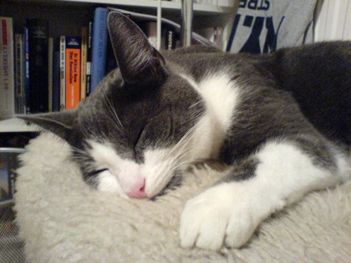 DSC00027.jpg