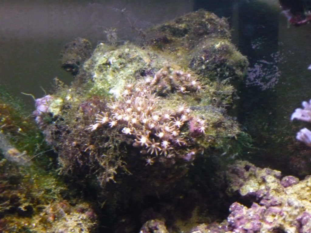 P1000424.jpg