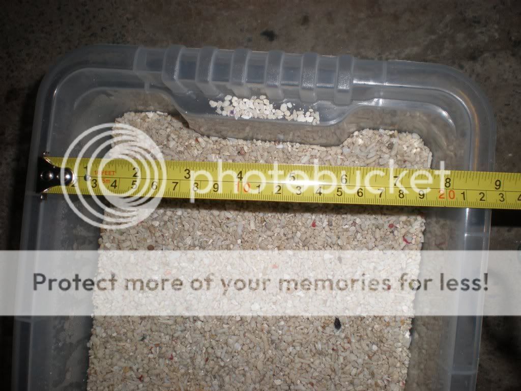 Pa170987.jpg