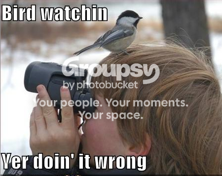 13fbd5bd.png