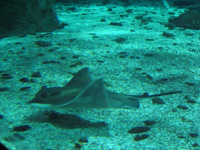 IMG_0677.jpg