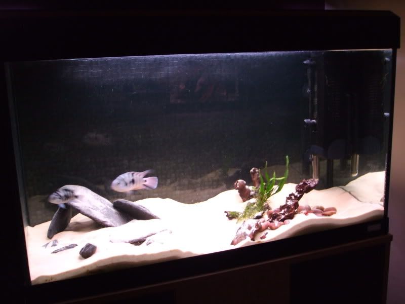 DSCF2201.jpg