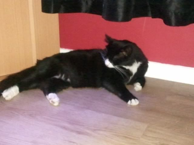 Photo0412.jpg