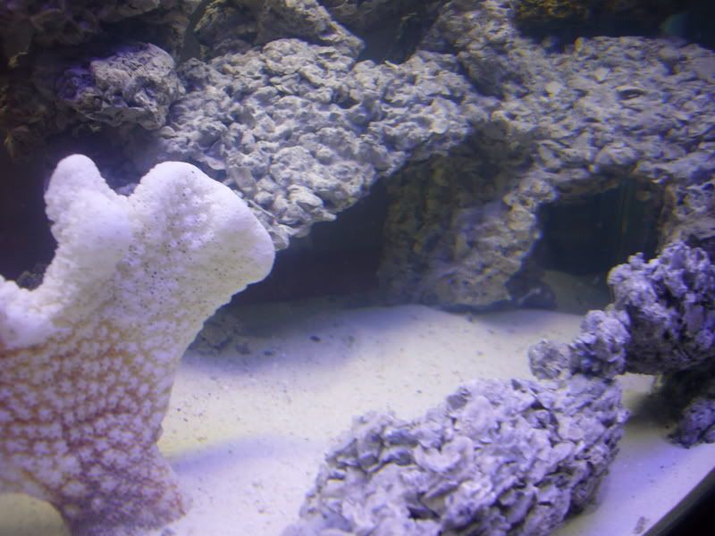 P1000624.jpg