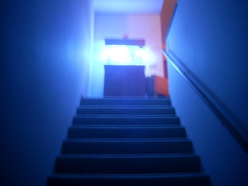 WalkIntoTheLight.jpg