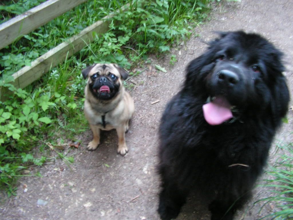 PICT0904.jpg