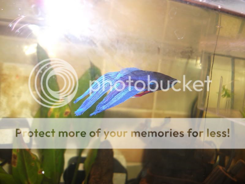 DSCF1857.jpg