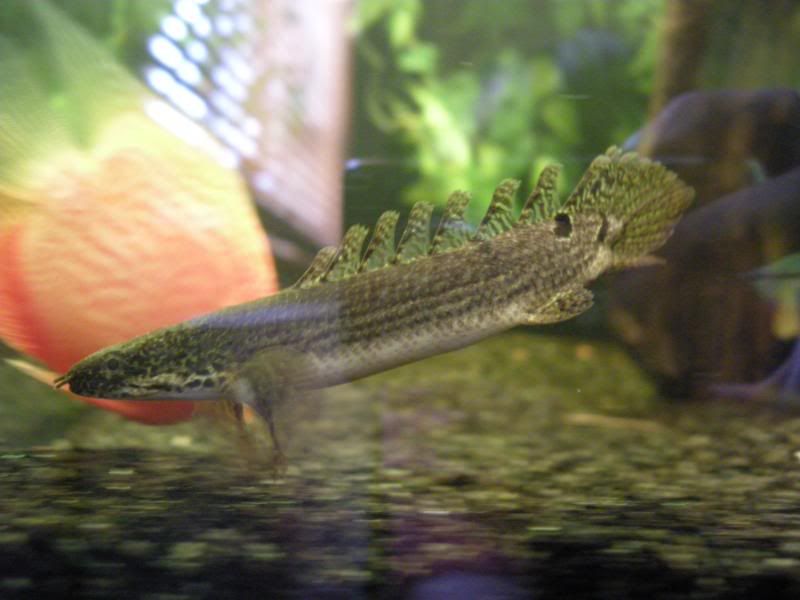 DSCN2200.jpg