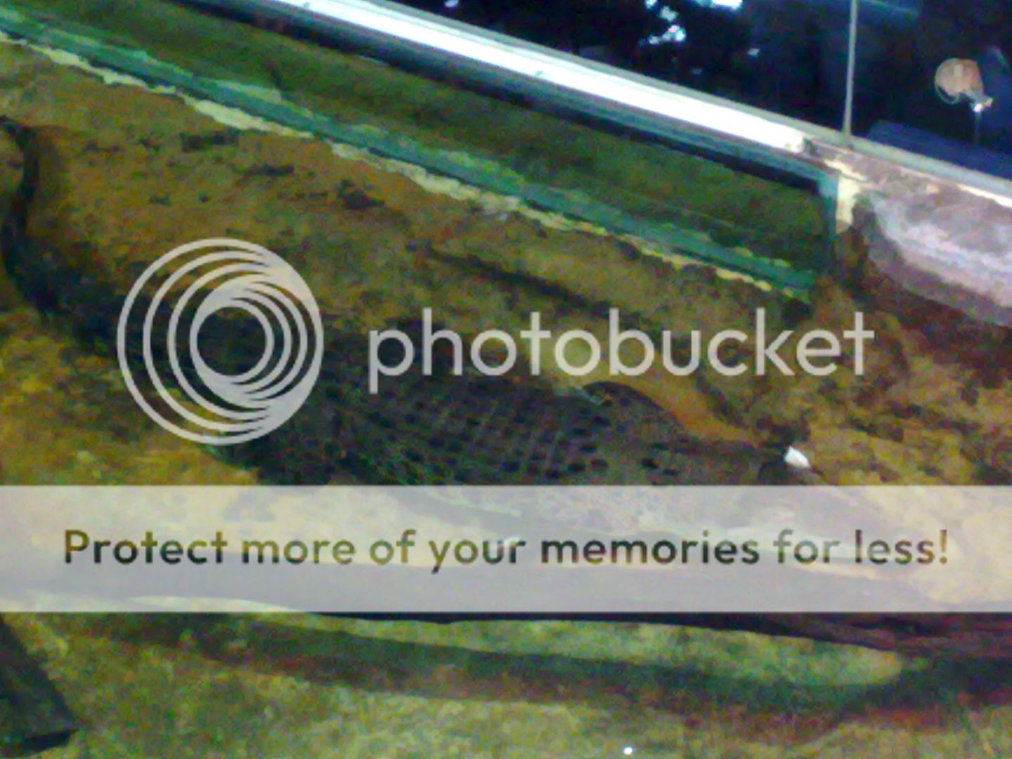 23082008027.jpg