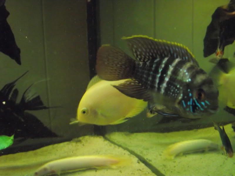 DSCF1599.jpg