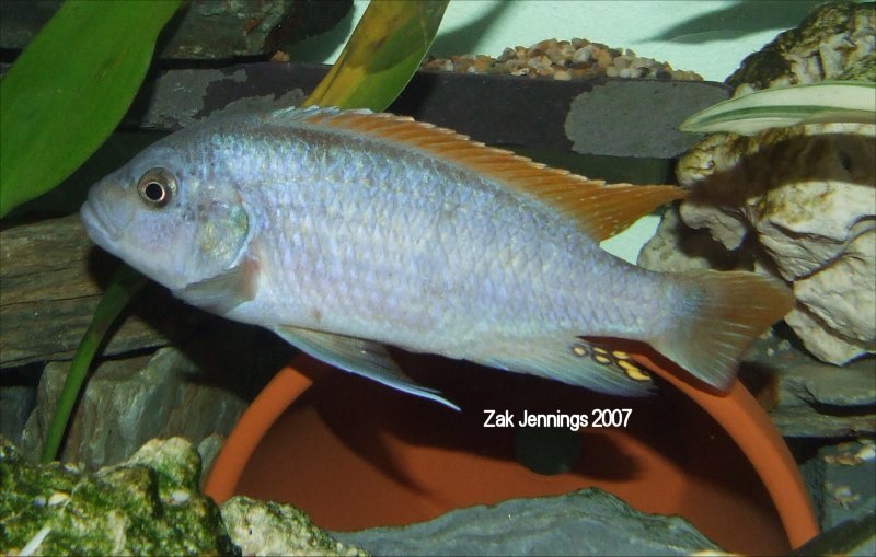 Dscf3472.jpg