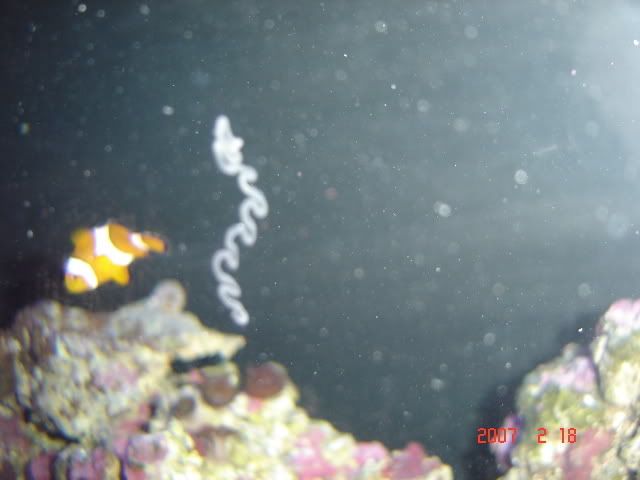 DSC03872.jpg