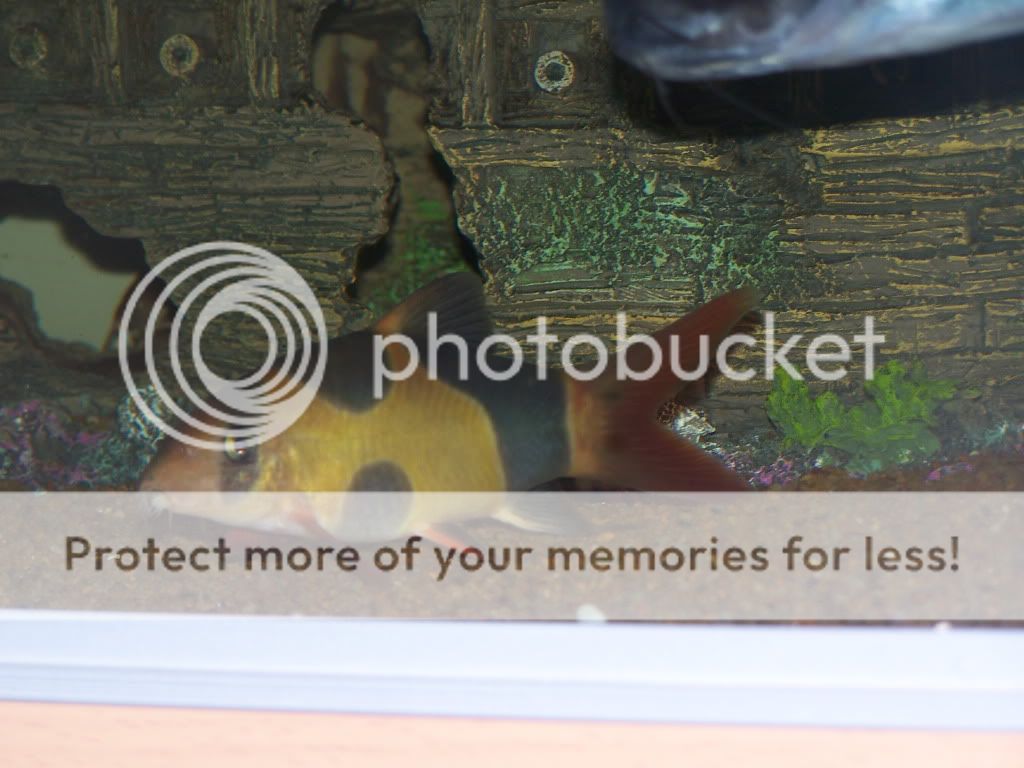 100_7041.jpg
