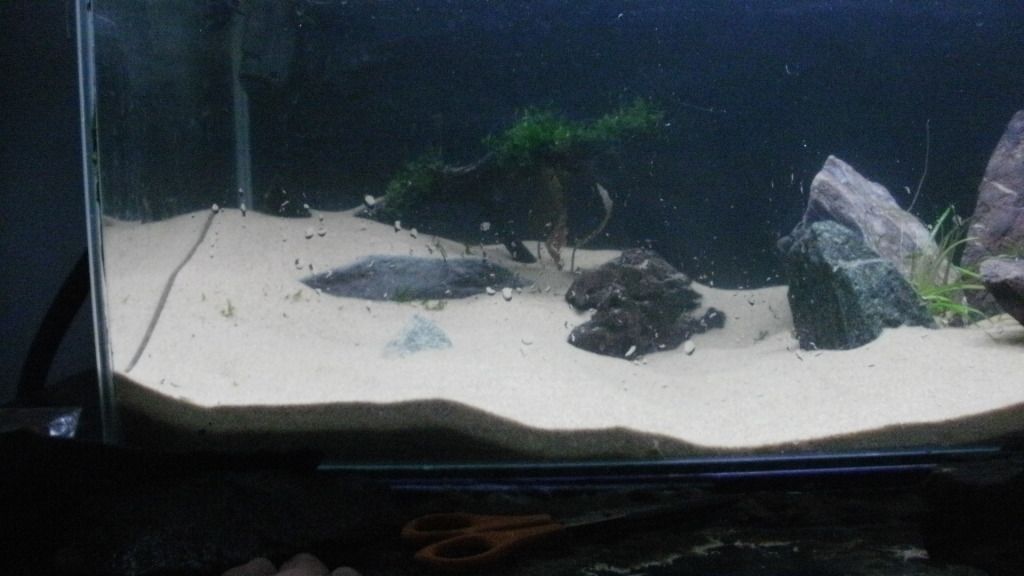 P2200047.jpg