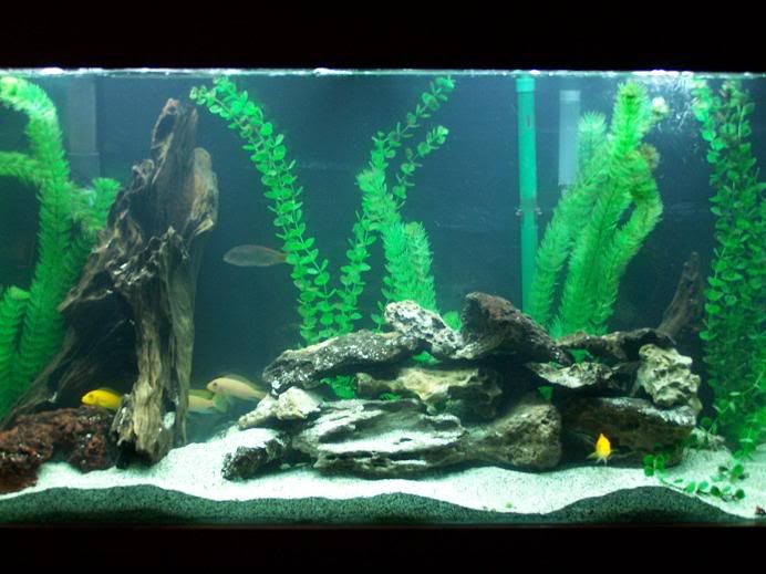 tankday3.jpg
