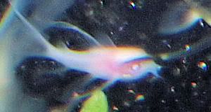 P3030025-3.jpg