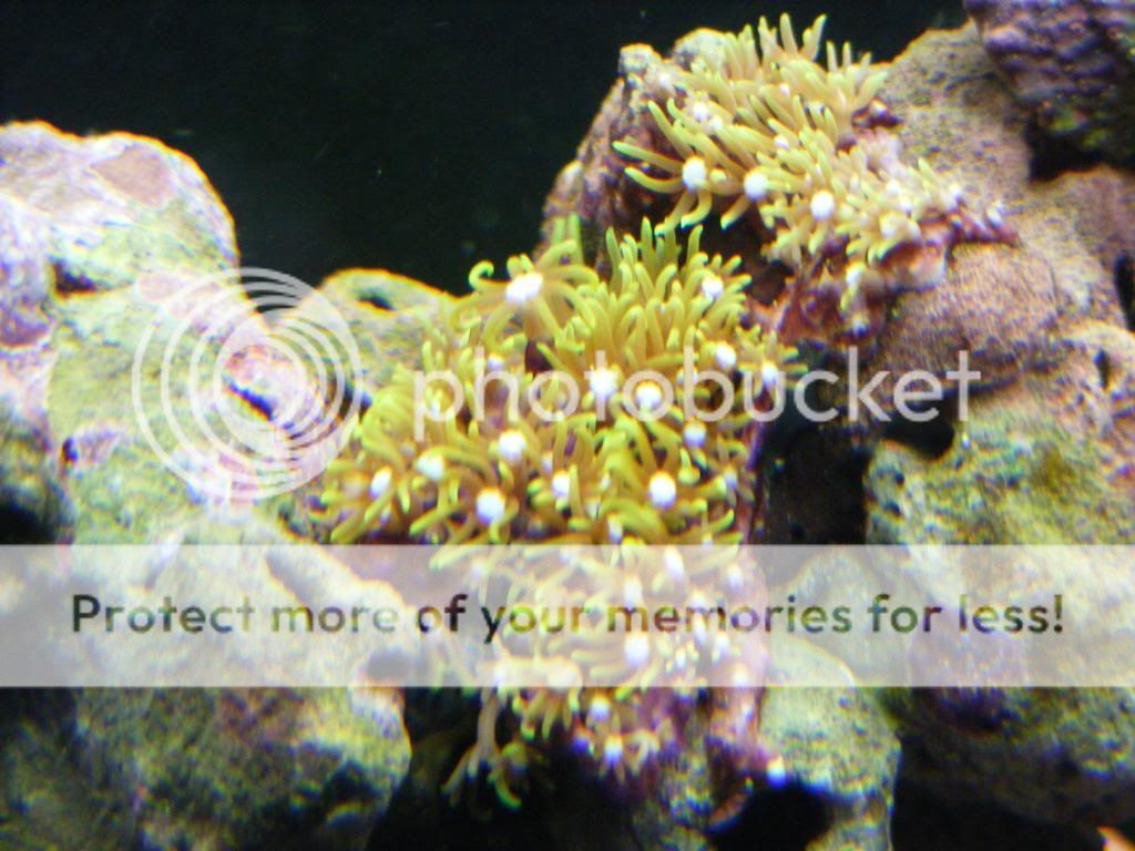 DSCF2855.jpg