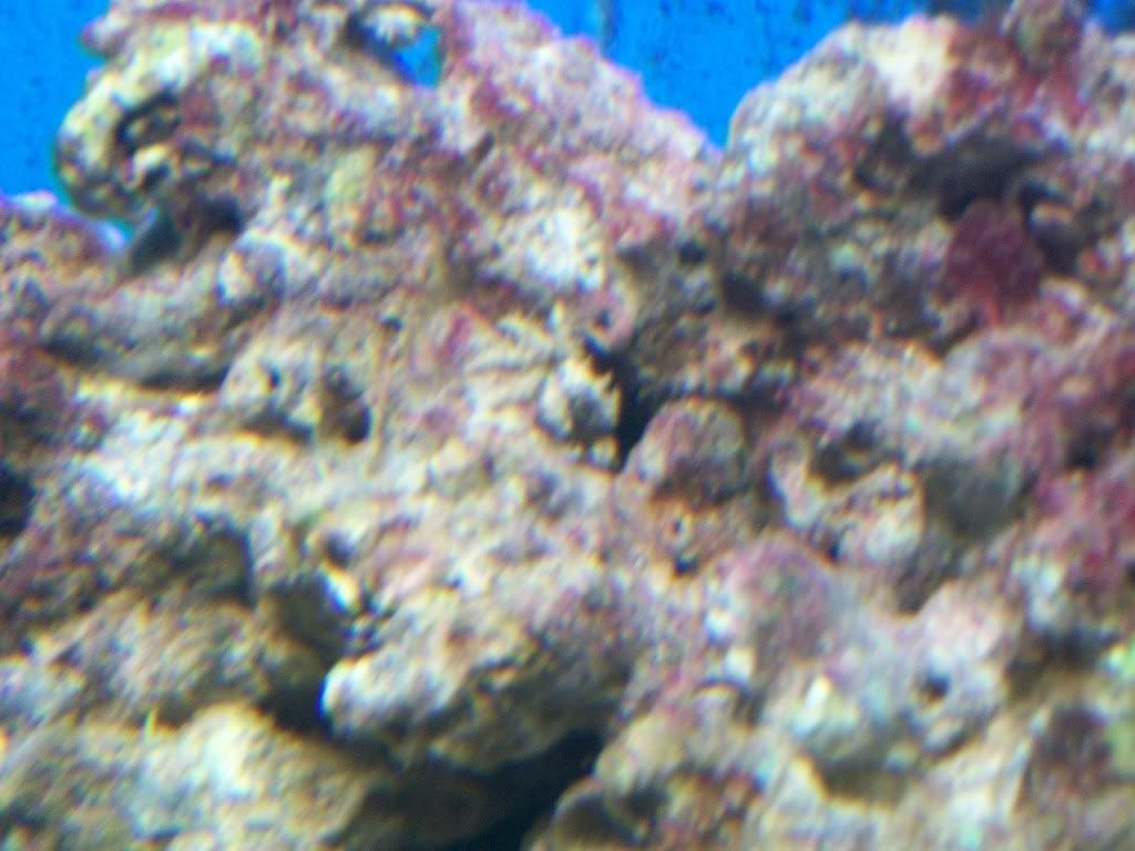 100_0682.jpg