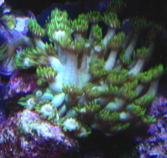 Oct2010FlowerPot3.jpg