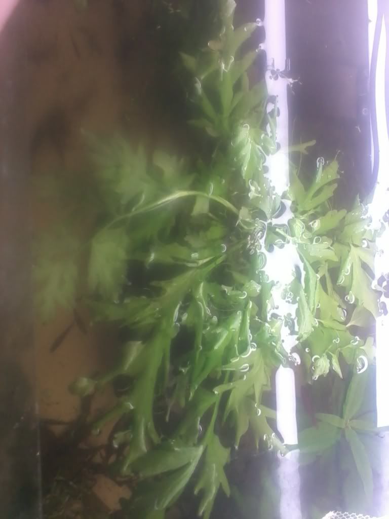 2011-04-09154127.jpg
