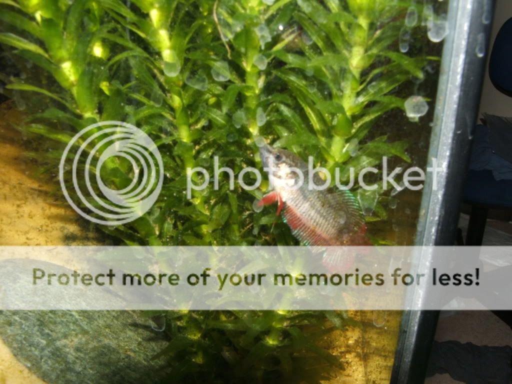 002-4.jpg