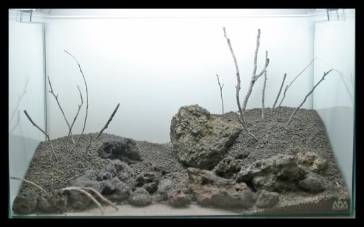 hardscape2_fall2006.jpg