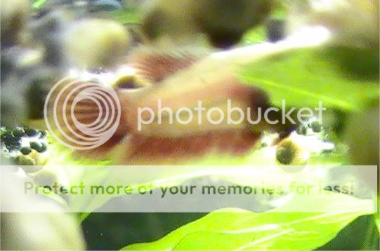 PIC_2321.jpg