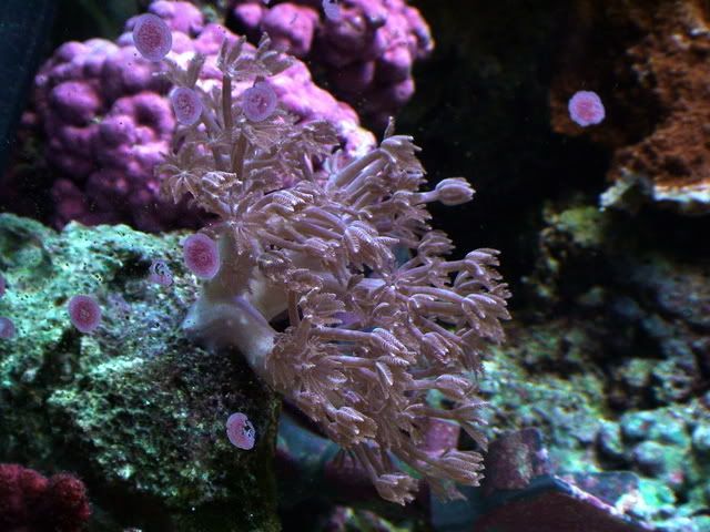 DSC01166.jpg