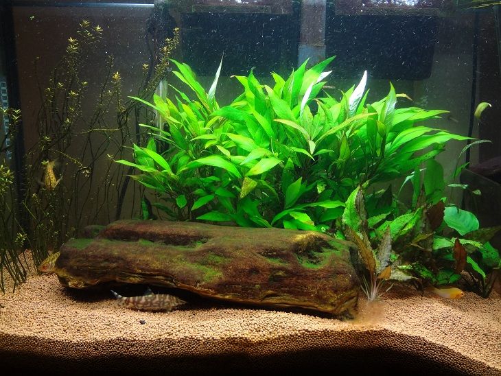 tank10-12_zps22ca1406.jpg
