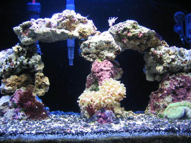 fts2.jpg