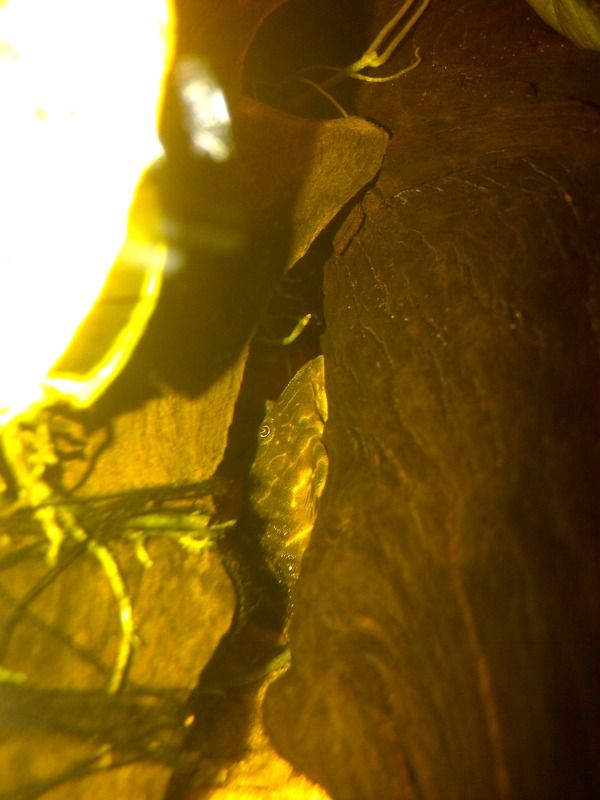 IMG-20120830-00381.jpg