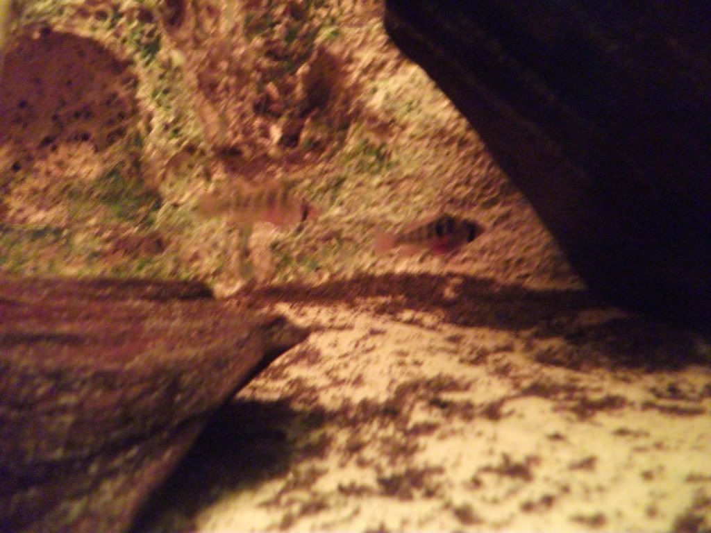 DSCF0475.jpg
