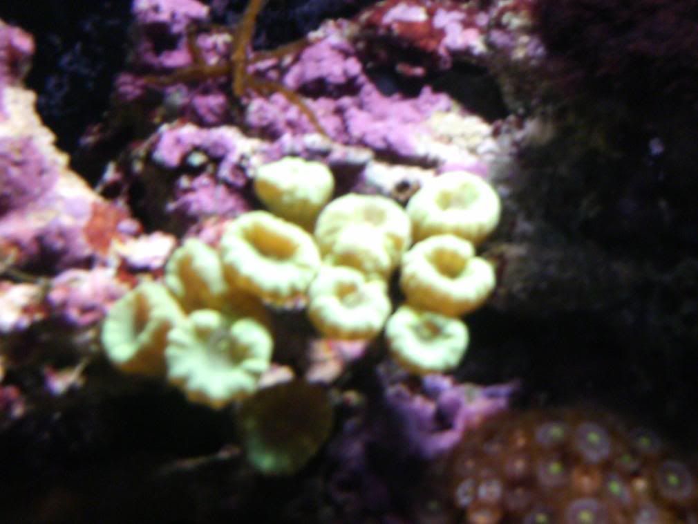 HPIM0661.jpg