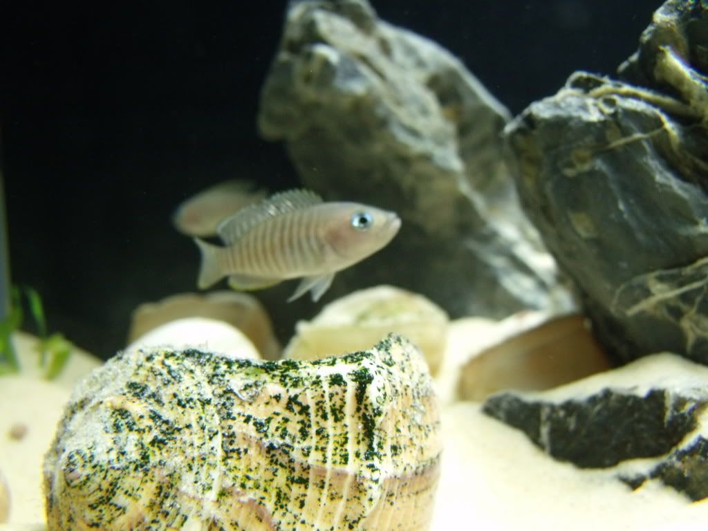 DSCF1043.jpg