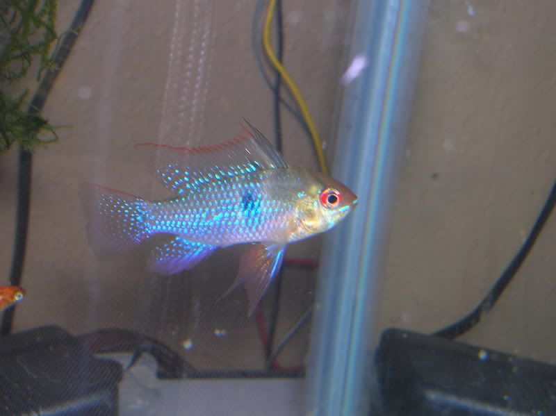 DSCN1197.jpg