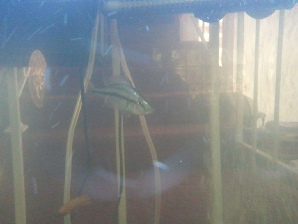 2012-08-09092908.jpg