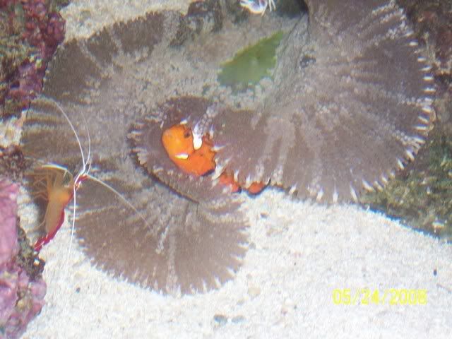 100_3177.jpg
