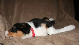IMG_0037.jpg
