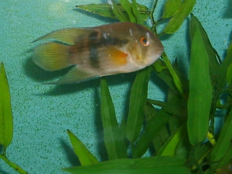 S5007193.jpg